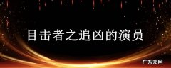 目击者之追凶的演员