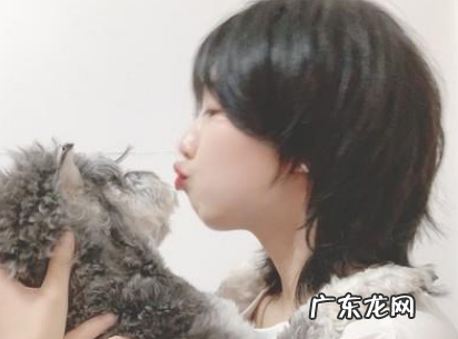 女生剪狼尾发型图片 女生剪狼尾发型多少钱