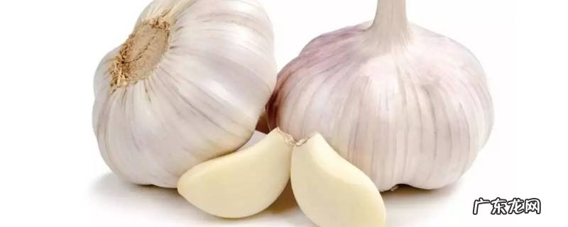 蒜放久了可以吃吗,蒜能放多久就不能吃了