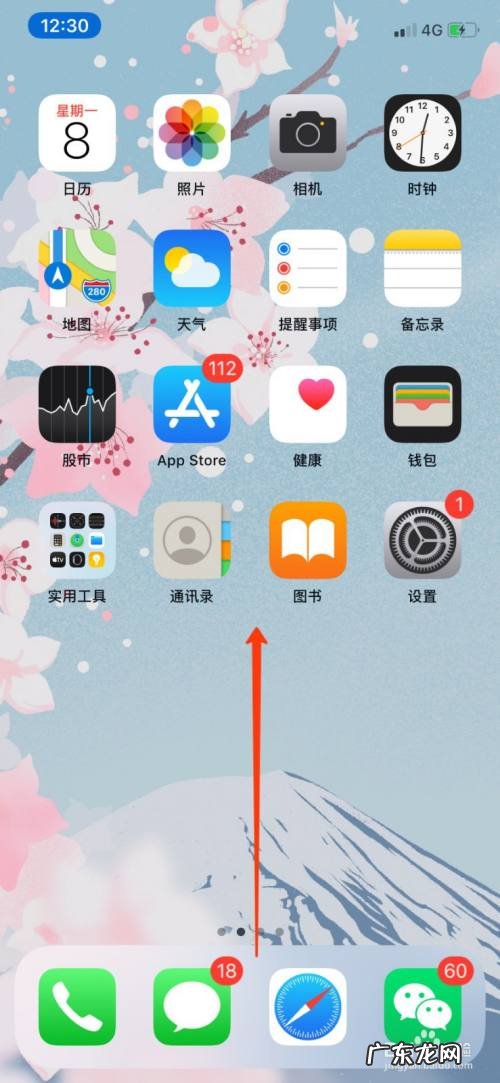 苹果13怎么清理后台