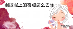 羽绒服上的霉点怎么去除