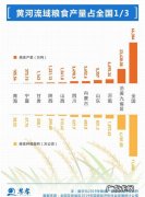 华北平原粮食产量占比是多少？看完才知道,原来我们一直吃的是它
