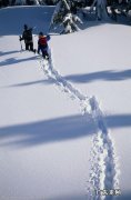 人站在雪地上的凹陷程度与什么因素有关
