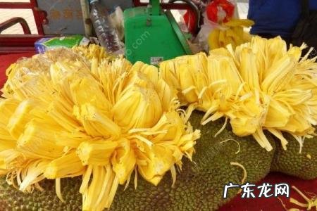 波萝蜜里面黄丝可以吃吗