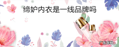 缔妒内衣是一线品牌吗