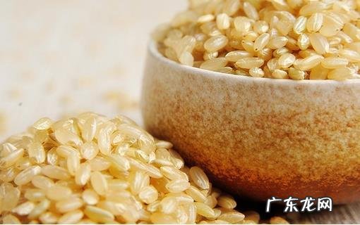 吃糙米有什么好处?吃糙米的好处有哪些?一起来了解一下吧