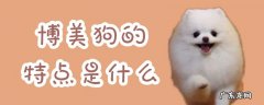 博美犬的性格特点与饲养技巧 博美狗的特点是什么