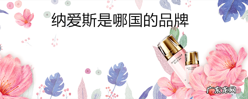 纳爱斯是哪国的品牌