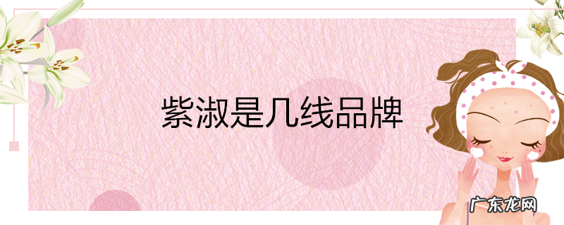 紫淑是几线品牌