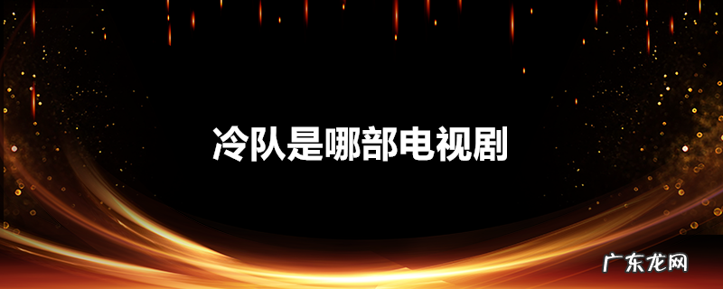 冷队是哪部电视剧