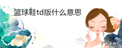 篮球鞋td版什么意思