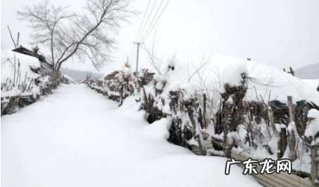 小雪大雪冷还是小寒大寒冷 大雪和小寒哪个冷2022