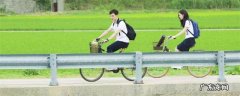 再次相遇的世界的演员