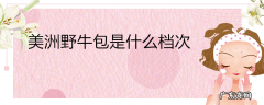 美洲野牛包是什么档次