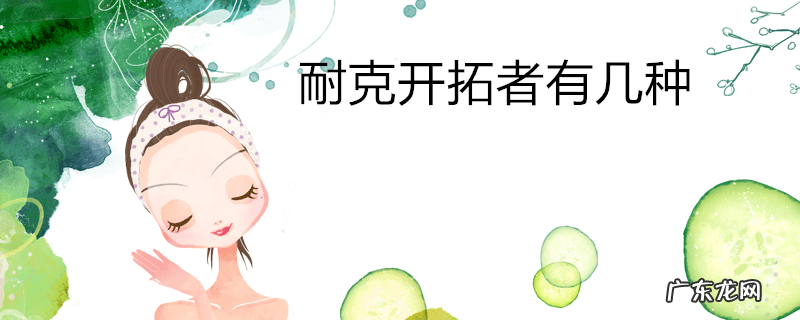 耐克开拓者有几种