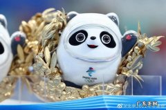 冰墩墩为什么现在才火？冰墩墩到底长啥样,看完你就知道!