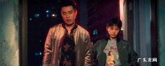 动物管理局一共多少集