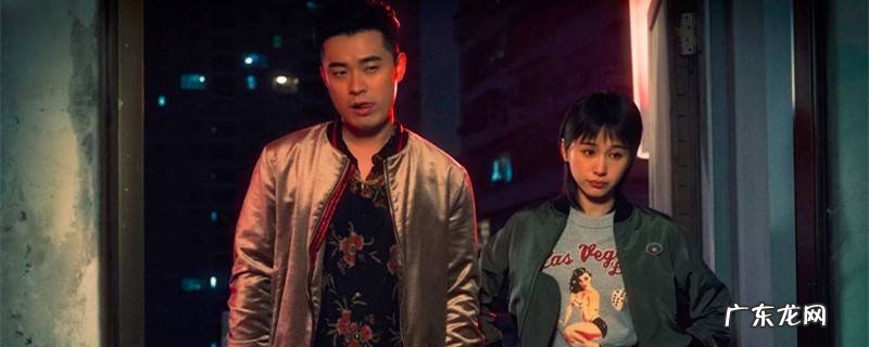 动物管理局一共多少集