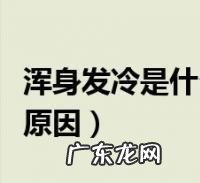 感觉浑身发冷怎么回事?