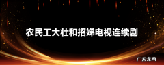 农民工大壮和招娣电视连续剧