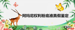阿玛尼权利粉底液真假鉴定