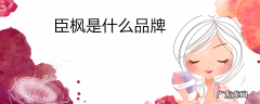 臣枫是什么品牌