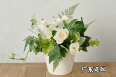 花有点蔫怎么办? 插的花有点蔫了怎么办