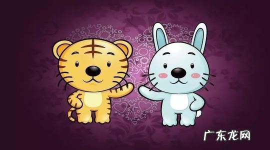属兔的与属虎的合财吗