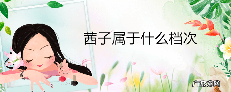 茜子属于什么档次