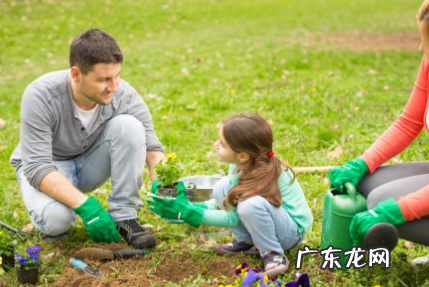 买回的花土能直接用吗 网上买的花要不要原土