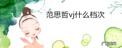 范思哲vj什么档次