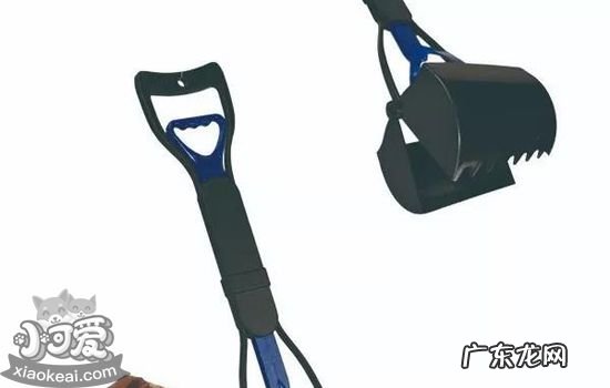 狗狗拾便器怎么用 宠物拾便器哪种好用