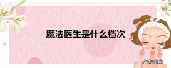 魔法医生是什么档次
