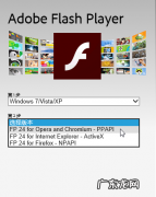 activex flash和ppapi flash的区别