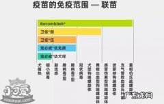 狗狗疫苗有哪几种品牌 狗狗疫苗有哪些牌子