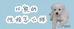 比熊犬的性格和脾气 比熊的性格怎么样