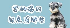 雪瑞纳优点缺点 雪纳瑞的缺点有哪些