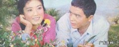 甜蜜的事业的演员