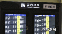怎么查询航班动态