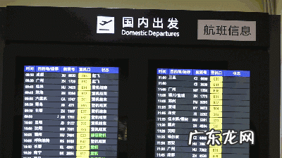 怎么查询航班动态