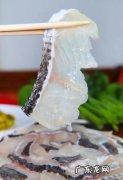 黑鱼怎么片鱼片技巧