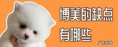 博美优缺点 博美的缺点有哪些