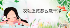 衣领泛黄怎么洗干净