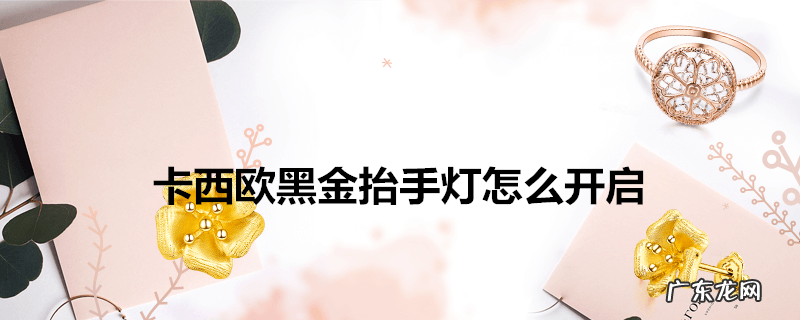 卡西欧黑金抬手灯怎么开启