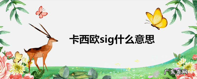 卡西欧sig什么意思