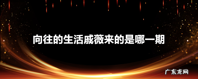 向往的生活戚薇来的是哪一期