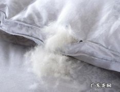 如何去除羽绒服的鸭臭味