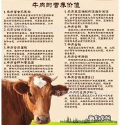 牛肉的营养价值
