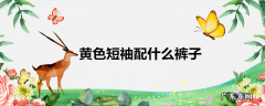 黄色短袖配什么裤子