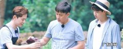 向往的生活是什么节目
